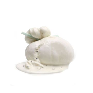 burrata-tartufo-original-food-600x600_1