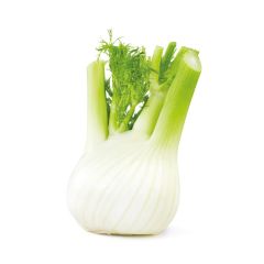 finocchio_1